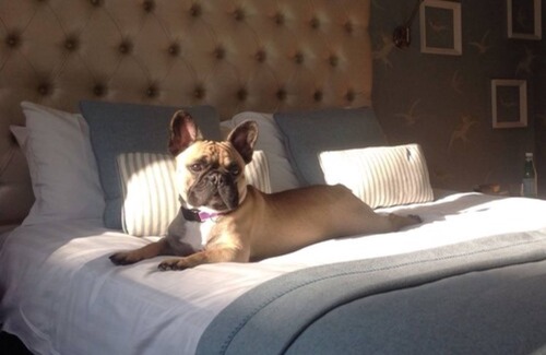 Seafront Hotel | The Old Ship Hotel