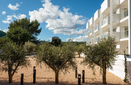 Santa Eulalia del Rio Apartment | The Olive Boutique Suites and Spa