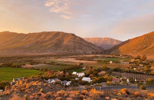 Prince Albert Villa | The Olive House, Prince Albert