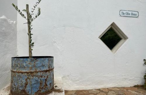 Prince Albert Villa | The Olive House, Prince Albert