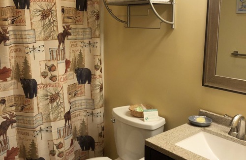 Manchester Center Hotel | The Olympia Lodge
