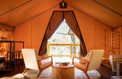 Primrose Cabin | The Oriole's Nest: GLAMPING IN THE CANOPY