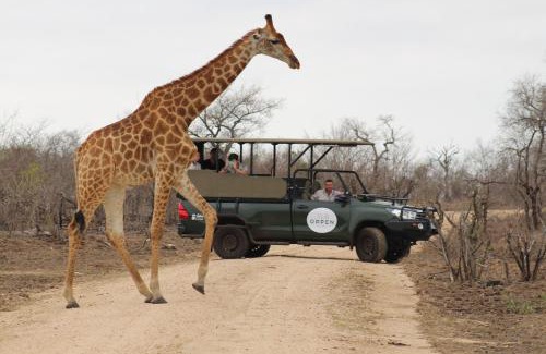 Thorny Bush Game Reserve Cabin | The Orpen Kruger