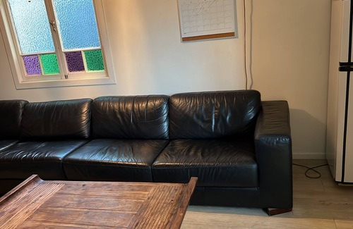 Hamilton Apartment | The Palm Hamilton Backpackers