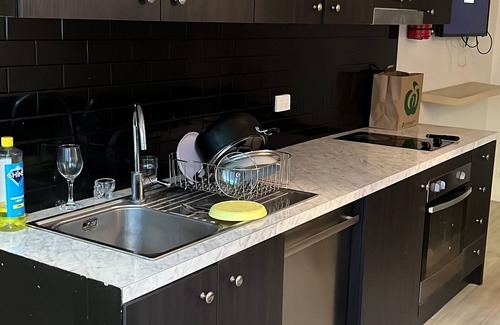 Hamilton Apartment | The Palm Hamilton Backpackers