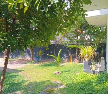 Minuwangoda Hotel | The Palms view airport villa