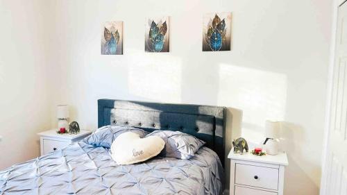 Lakewood Apartment | The Panda Apartment In Lakewood