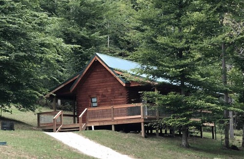South Bloomingville Cabin | The Peak - The Peak Cabin in Hocking Hills, OH offers a cozy, pet-friendly getaway with a hot tub, fire pit, and scenic views. Ideal for couples and families, it’s just minutes from top attractions and hiking trails. Book your stay today!