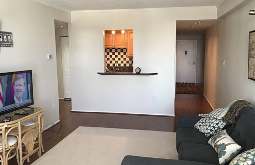 Towson Condo | The Penthouse at Towson