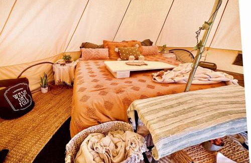 New Cuyama Other | The Pink Pony Yurt, New Cuyama, CA
