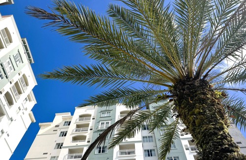 Florida Center Apartment | The Point Hotel & Suites