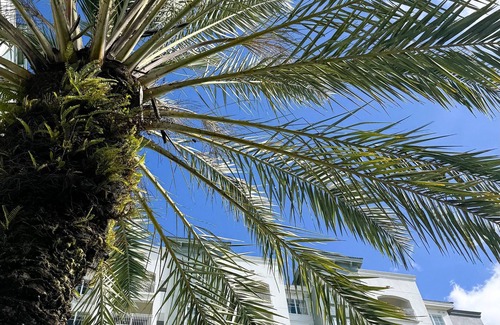 Florida Center Apartment | The Point Hotel & Suites