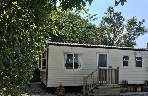 Ormskirk Other | The Pony Pad