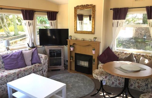 Ormskirk Other | The Pony Pad