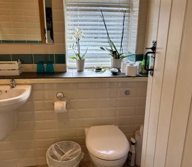 Warwick Apartment | The Potting Shed