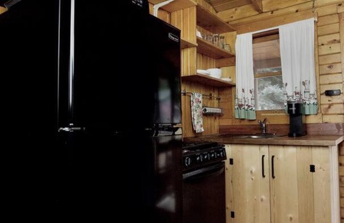 Lake City House | The Primrose Cabin with Mountain Views