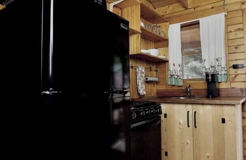 Lake City Cabin | The Primrose Cabin with Mountain Views