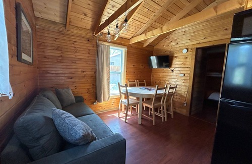 Lake City Cabin | The Primrose Cabin with Mountain Views