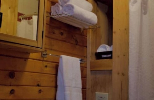 Lake City Cabin | The Primrose Cabin with Mountain Views
