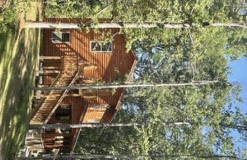 Converse Cabin | The PromiseLand 218C