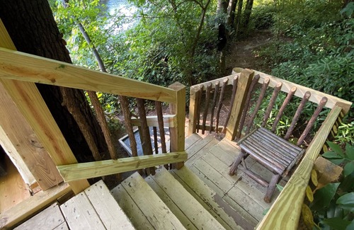 Brevard Cabin | The Quack Shack is a treehouse located along the banks of The French Broad River