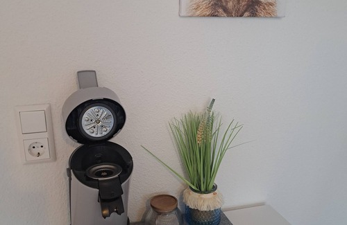 Schluchsee Apartment | "The Raccoon Cave" - Apt. with balcony & pool