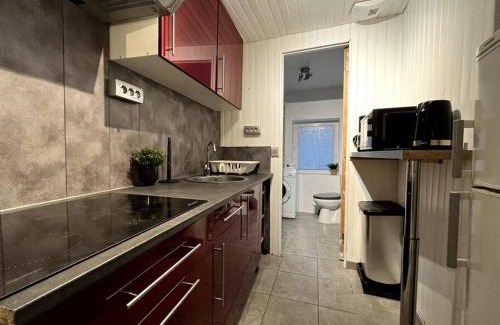 Fontainebleau Apartment | The Red and Black retreat - Fontainebleau Center