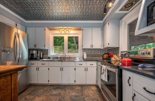 Lynn House | The Red Baron | Lakefront Cottage on Lake Lanier | Pet-friendly