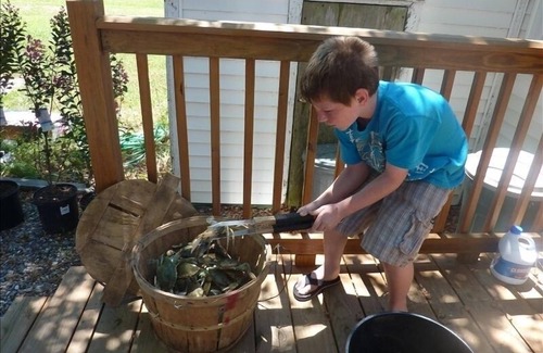 Deal Island Cottage | The Relax-Inn Deal Island with Kayaks and Canoe