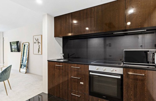 Elizabeth Bay Apartment | The Rex Potts Point Apartment