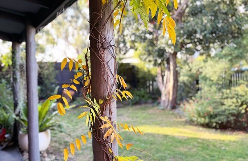 Glenroy House | The Roy ✨ Family home close to airport + train