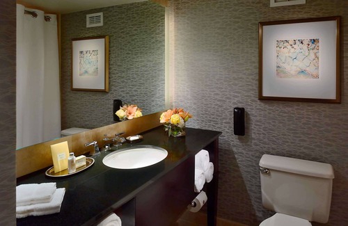 Uptown Hotel | The Royal Sonesta Houston Galleria