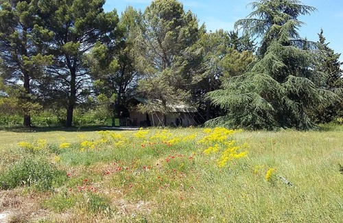 Mazan RV Rental | The safari tent has a kitchen, bathroom and is private on a field of 2500m2.