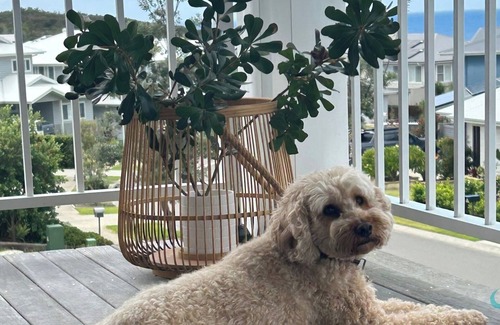 Catherine Hill Bay House | The Sanctuary - Hampton-style beach house, pet friendly, family ready