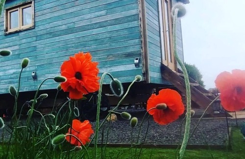 Chathill Cabin | The Sanderling - sleeps 2 guests in 1 bedroom