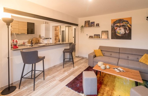 Saverne Apartment | The Saver'Zaru apartment, downtown!