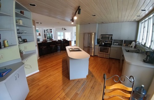 Virginia Beach House | The Seahorse Beach Equestrian Property BABY HORSES ON SITE SUMMER 2024! TWINS!