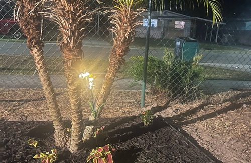 Southwest Orlando House | The Secret Garden Games Getaway 4 bedroom home