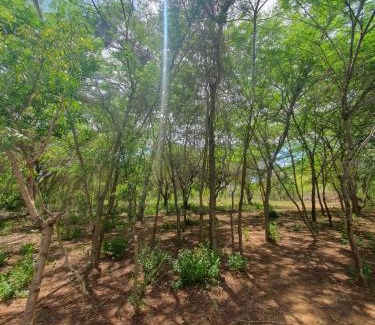 Kilifi House | The Shamba