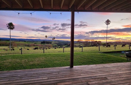 Jerrara Cabin | "The Shedio" On Saddleback