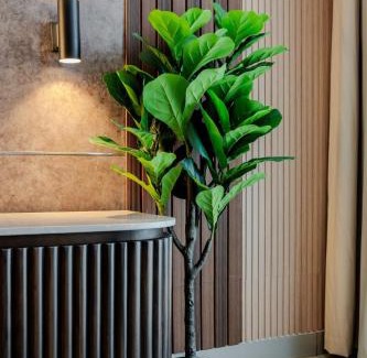 Sharjah Apartment | The Snug Studio By BlueCloud Holidays