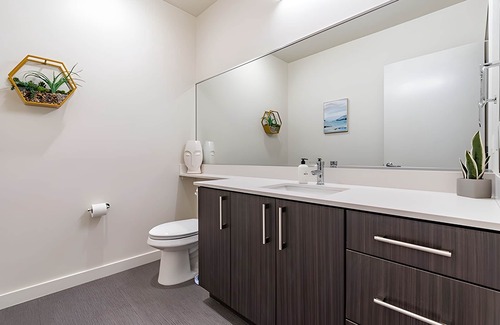 West Bellevue Apartment | The Sophari Experience - Bellevue