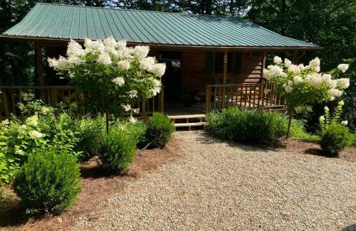 Highlands House | The Spotted Owl