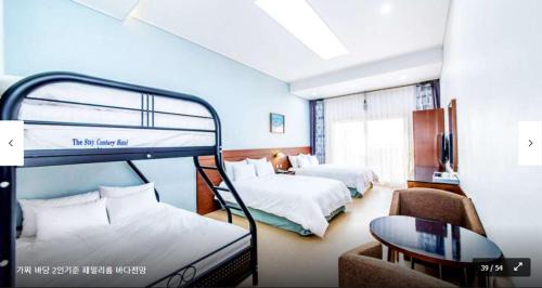 Aewol Hotel | The Stay Century Hotel