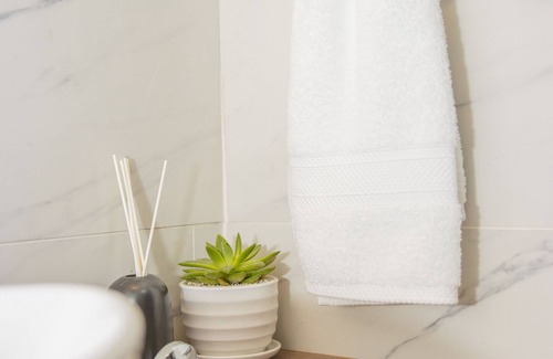 Pavas Hotel | The Stay