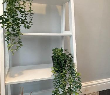 Whitehaven Apartment | The Suite - 1 Bed