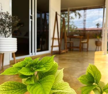 Ko Chang House | The Summer Cottage