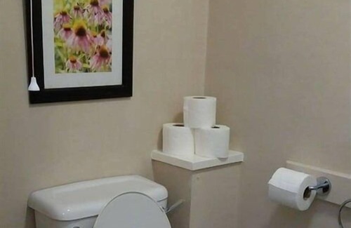 London Borough of Hounslow Hotel | The Swan Inn