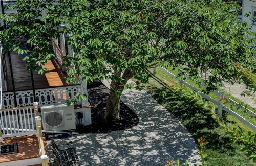 Cape May Cottage | The Tea Rose