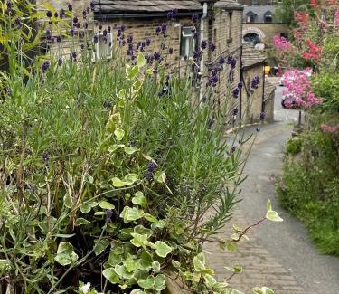 Holmfirth Apartment | The Therapy Rooms Holmfirth Holiday Let